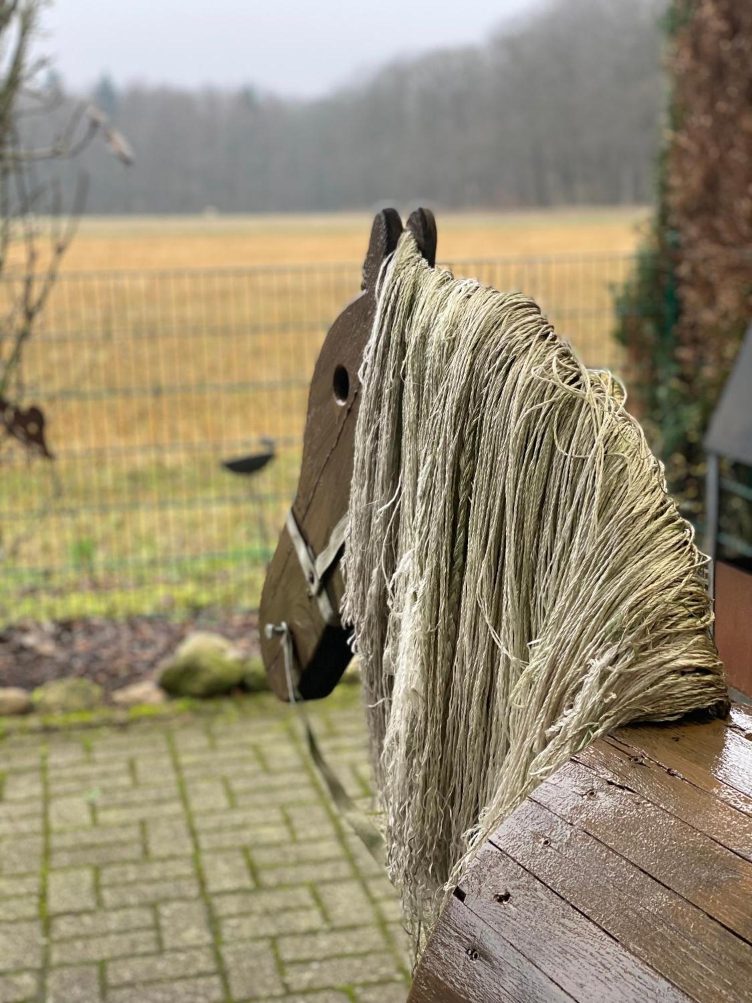 Schoene Auszeit Re14 Sögel Exteriér fotografie